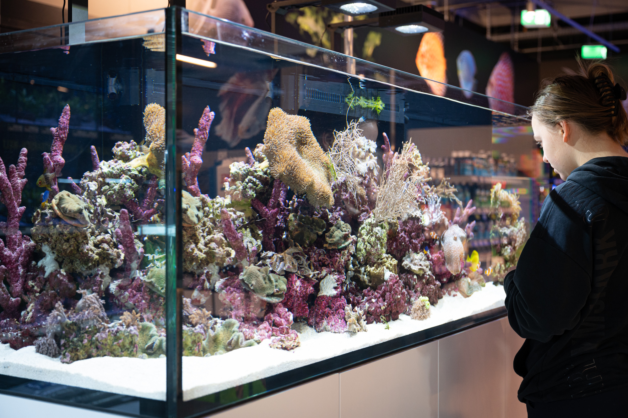 Eroeffnung Karlsruhe 67