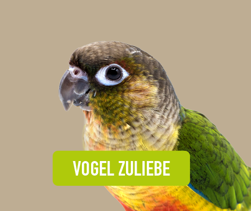 Vogelsortiment Lp