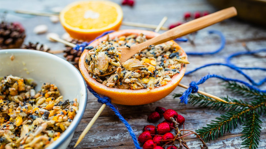 Vogelfutter Selbermachen Teaser