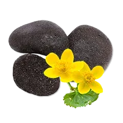 Teichbau Einrichtung 0e02a62472