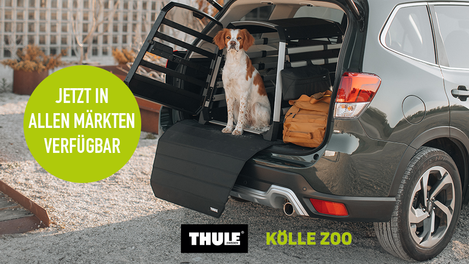 Dbb7d076 Fbf5 49a7 835b B48660ddae04