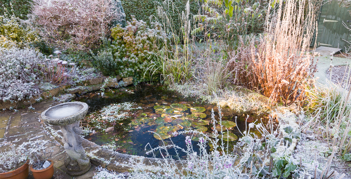 So Machst Du Deinen Teich Winterfest Teaser