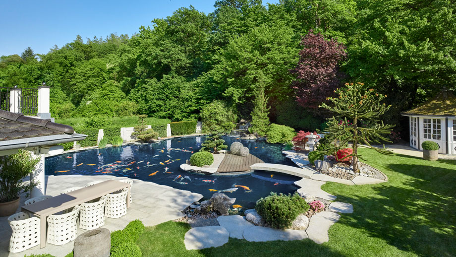 Grossprojekte Teich Teaser