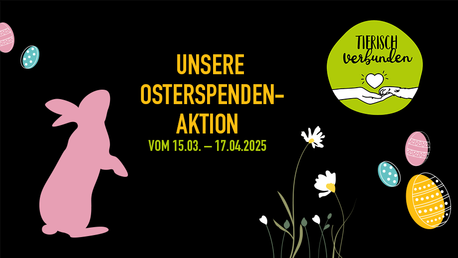 Osterspendenaktion%202025%20teaser