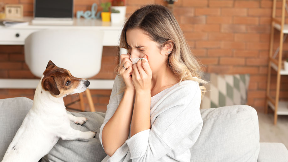 Hunde für Allergiker