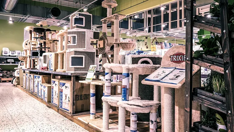 Frankfurt Highlight Katze 7f3704f520