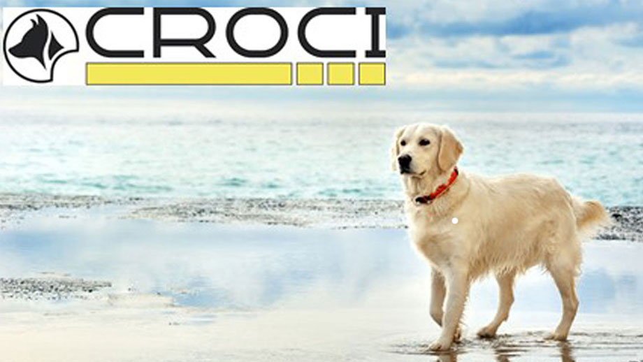 Croci Bei Abkuehlung Teaser Neu