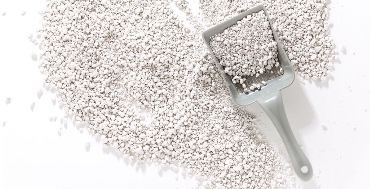 Welche ist die beste Katzenstreu?