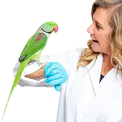 Vogel Gesundheit Pflege 0a5b684e7d