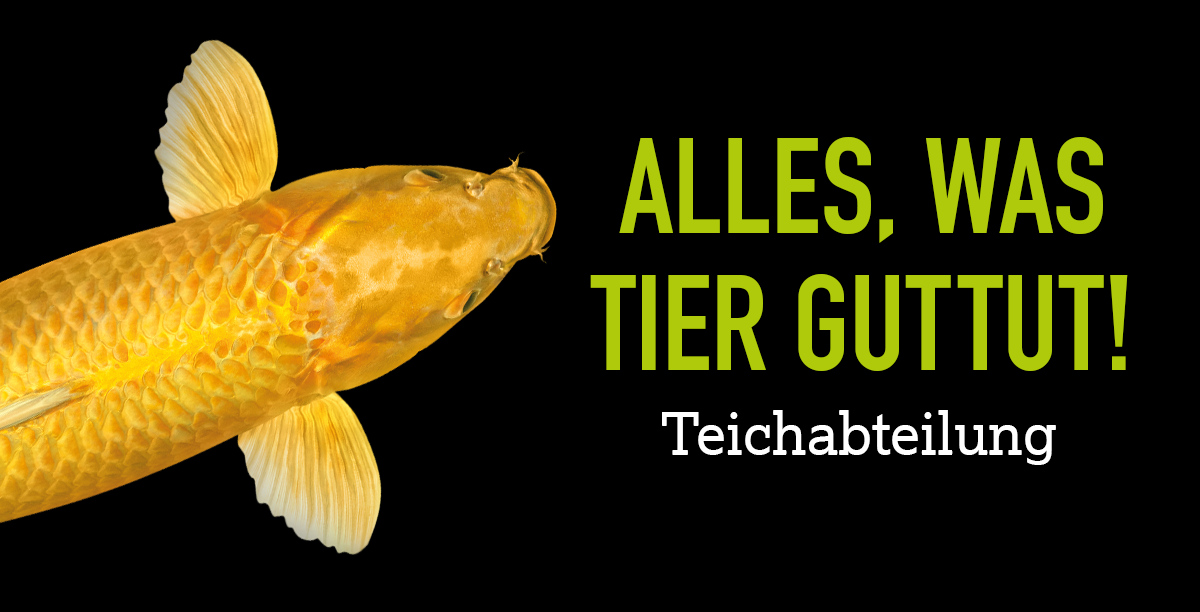 Teichabteilung K Olle Zoo Teaser