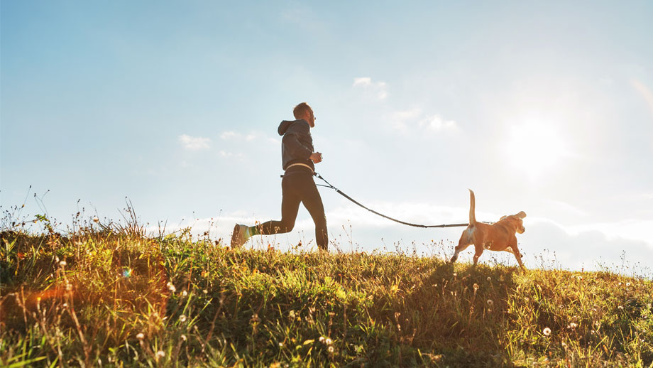 Joggen mit Hund