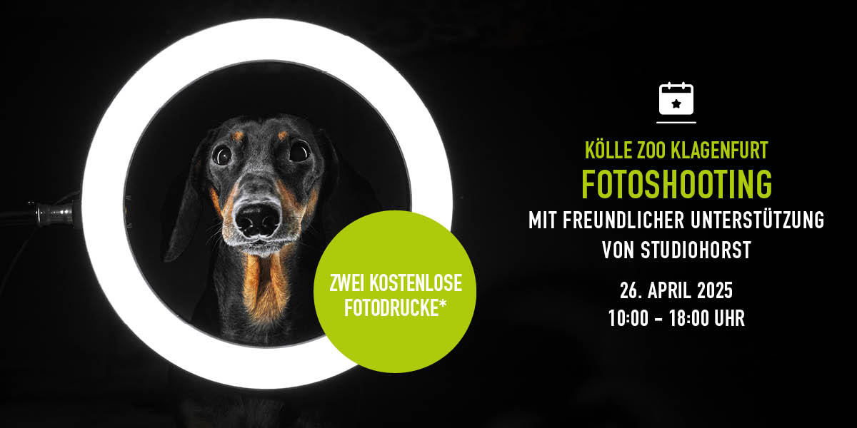 260425 Event Fotoshooting Klagenfurt Nl