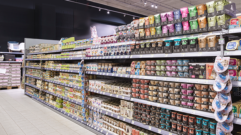 Heidelberg Highlight Katze