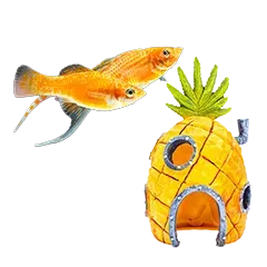 Suesswasser Einrichtung Pflege 110ddaa417