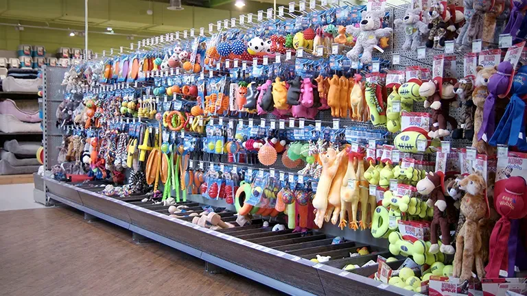 Muenster Highlight 4 620a6ea4c4