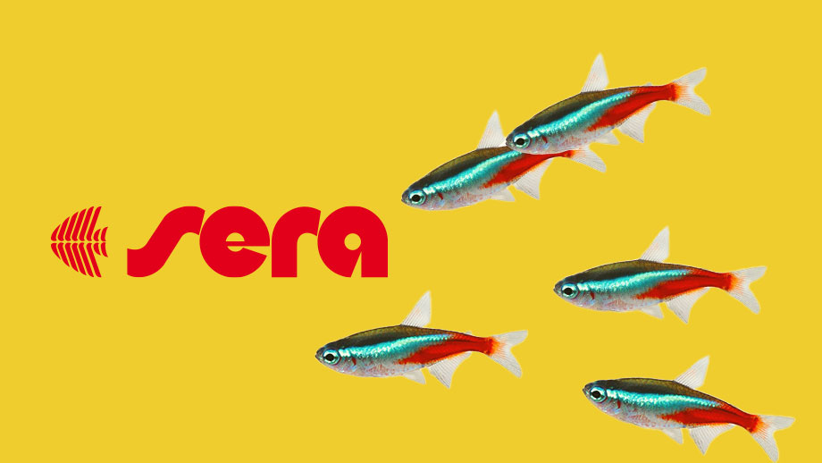 Produkttipp Sera Nature Teaser