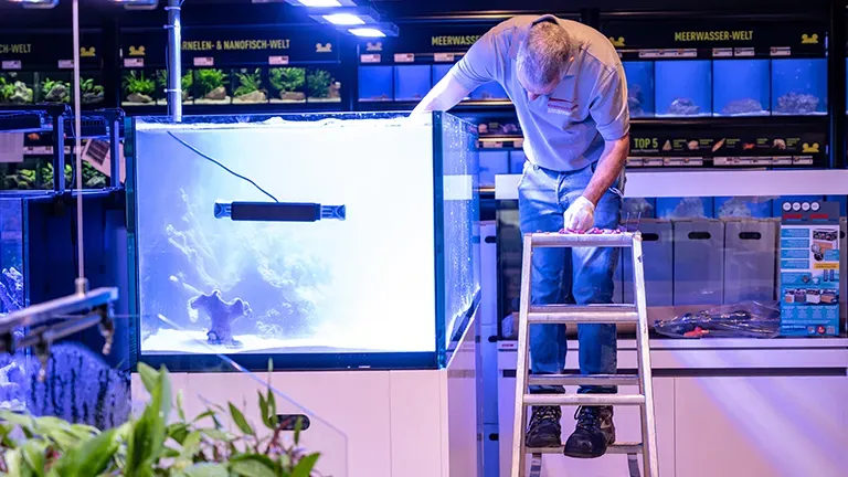 Ulm Highlight 1 A97b62ac61