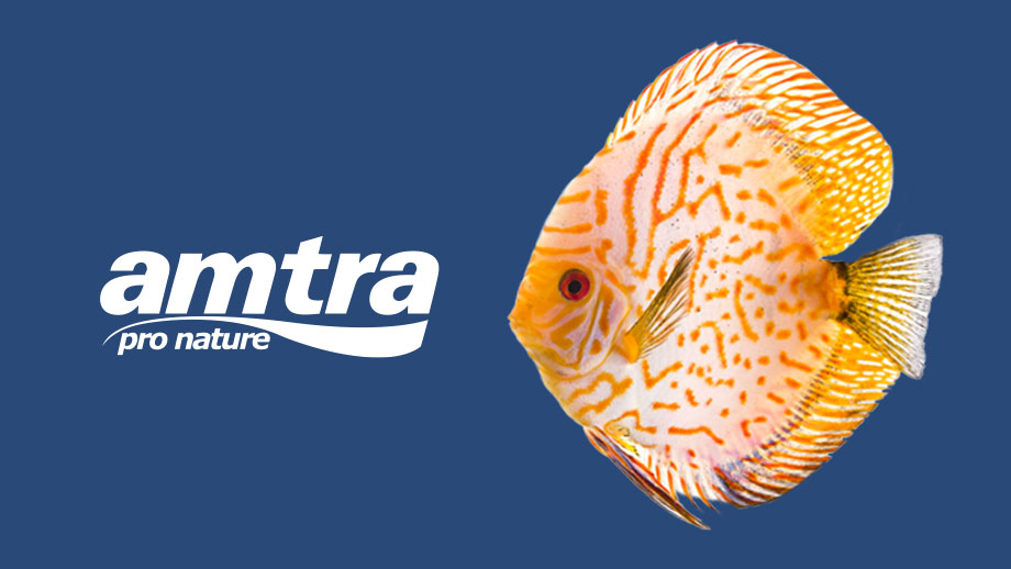 Produkttipp Amtra Pro Nature Plus Teaser