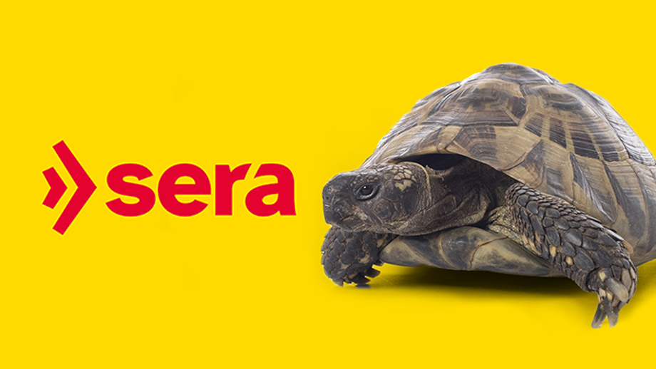 Sera Blog Teaser 920x518px%20schildkr%c3%b6te%2016122024