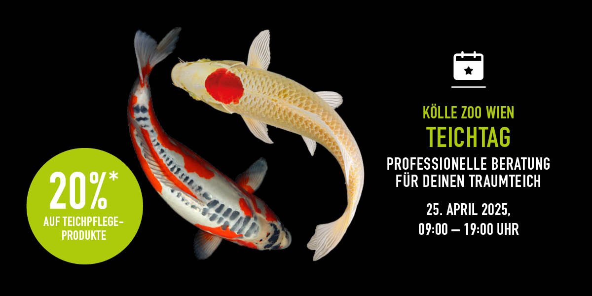 250425 Event Teichtag Wien Nl