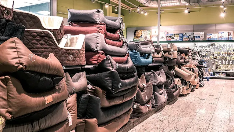 Frankfurt Highlight Hund Dea1f2bb93