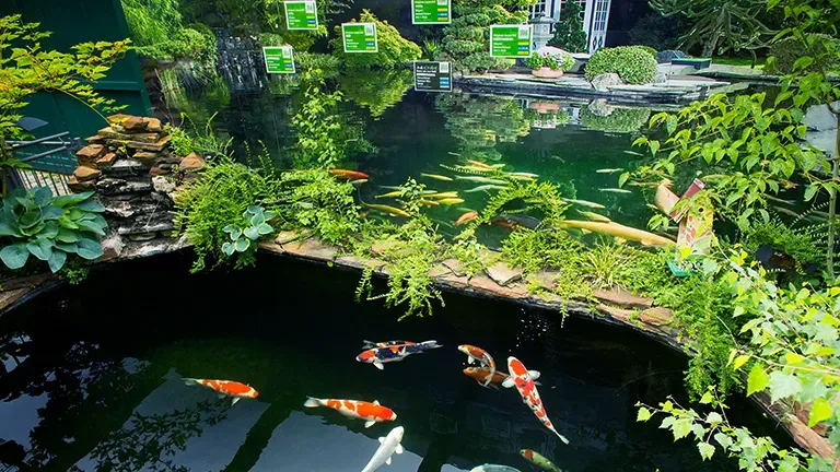 Muenchen Highlight 3 E013b0f9e4