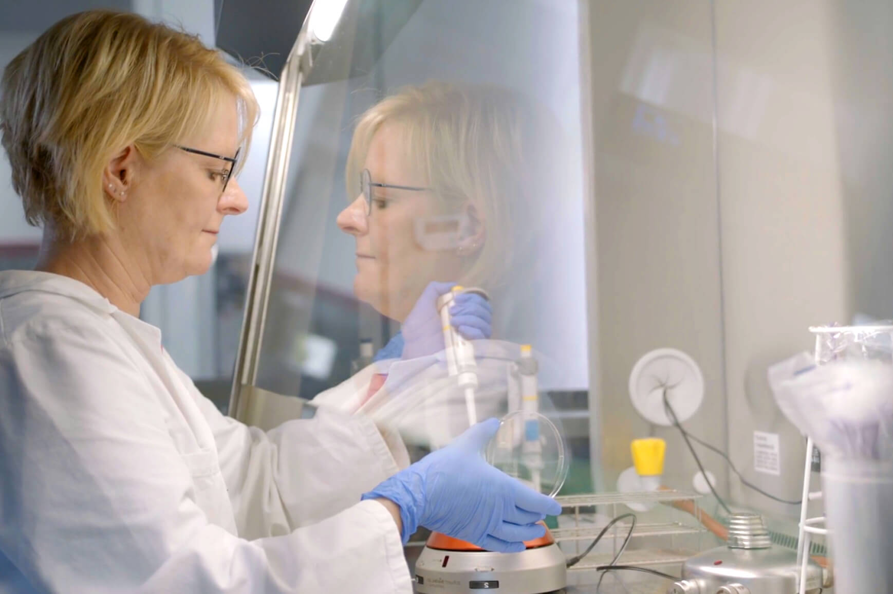 2 Dts Jos Brandareacontent Imagekaroussel