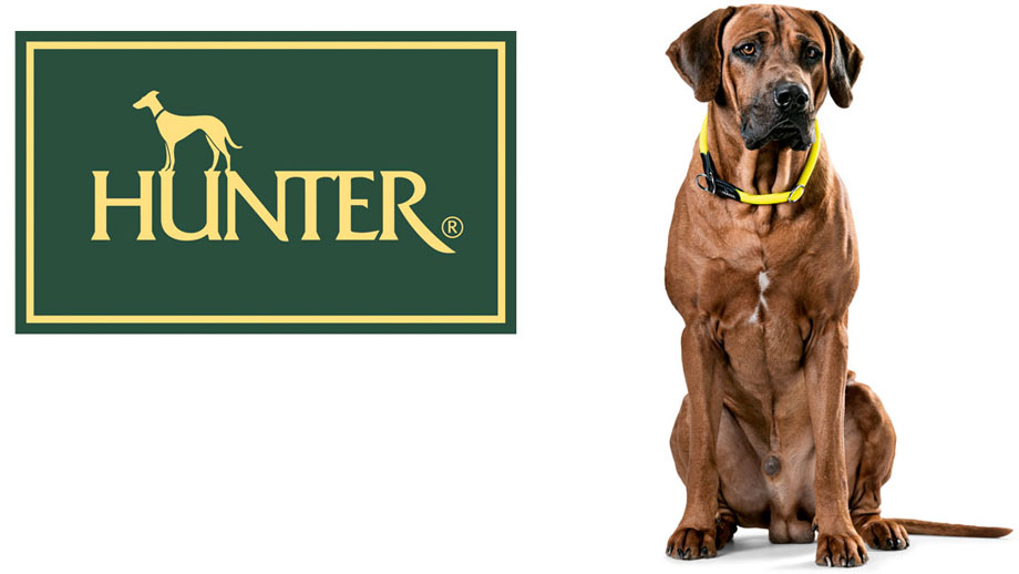 Produkttipp Hunter Teaser Neu