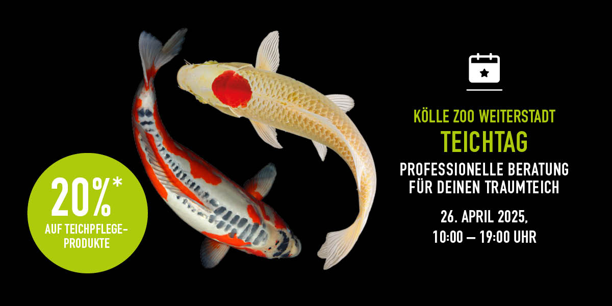 260425 Event Teichtag Weiterstadt Nl