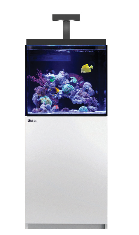 Red Sea MAX E 170 LED mit ReefLED weiß