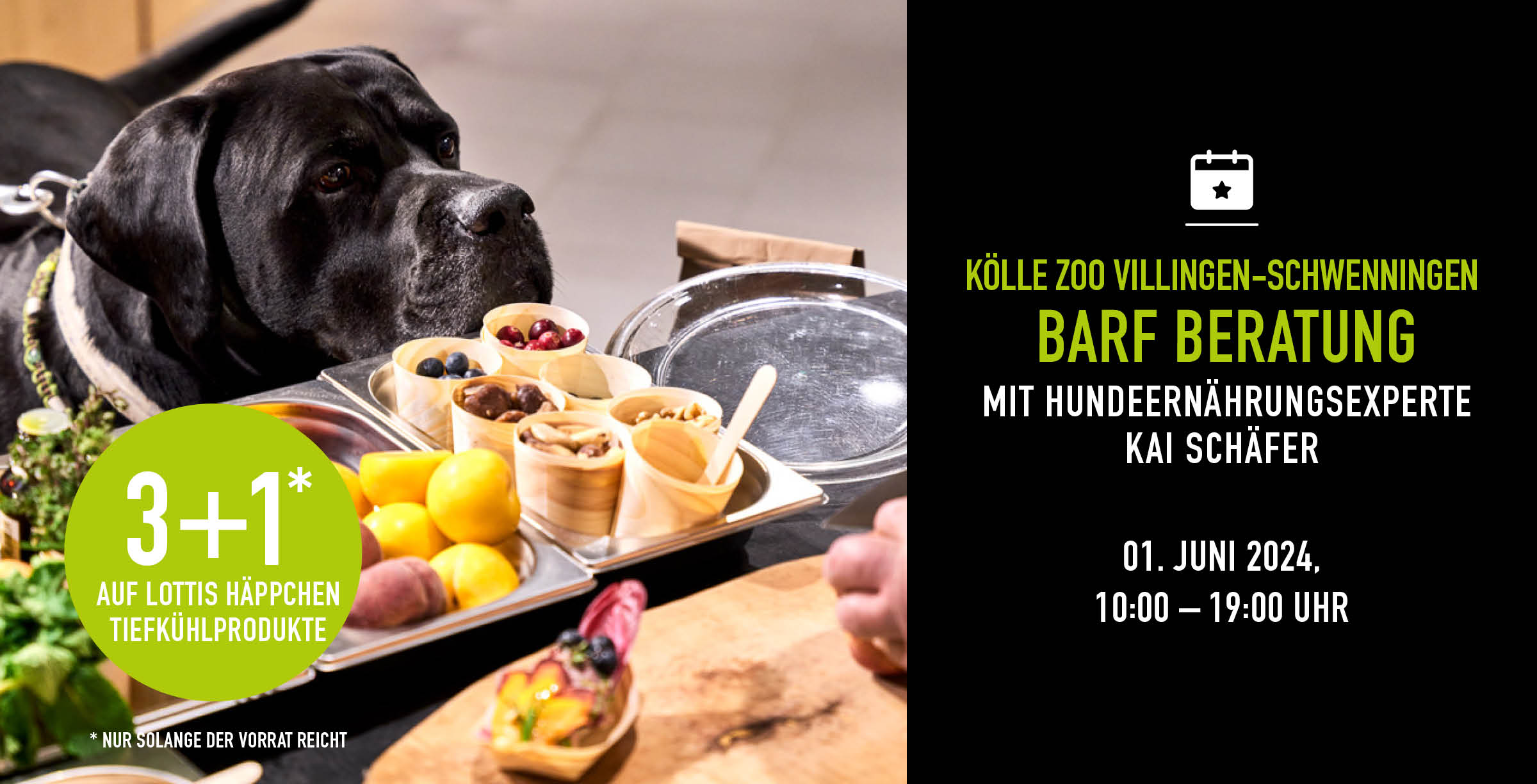 0106 Event Barf Villingen Nl