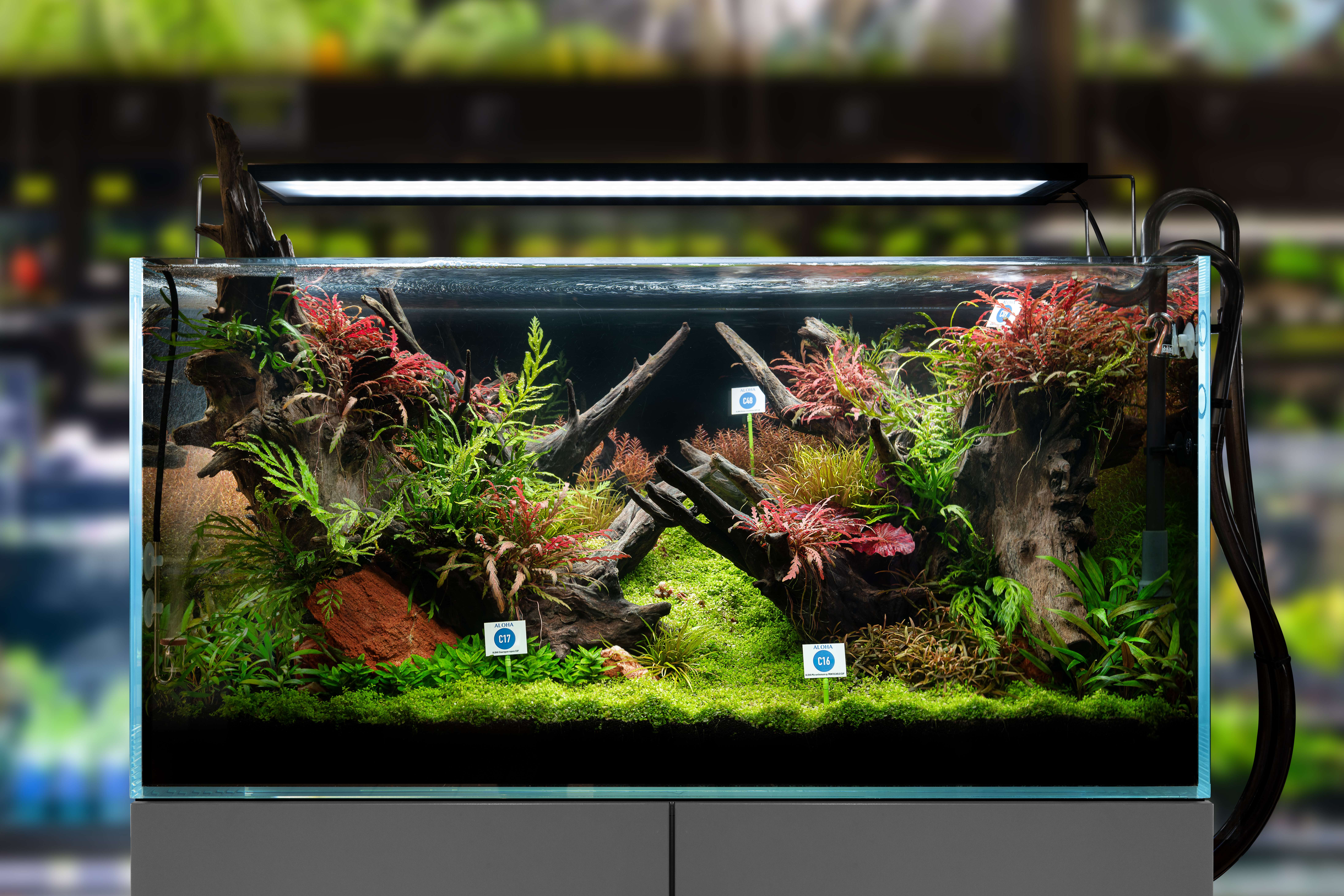 Becken Nuernberg Marktumfeld Oase