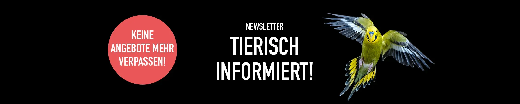 Nl Banner Footer Desktop B057ec261b