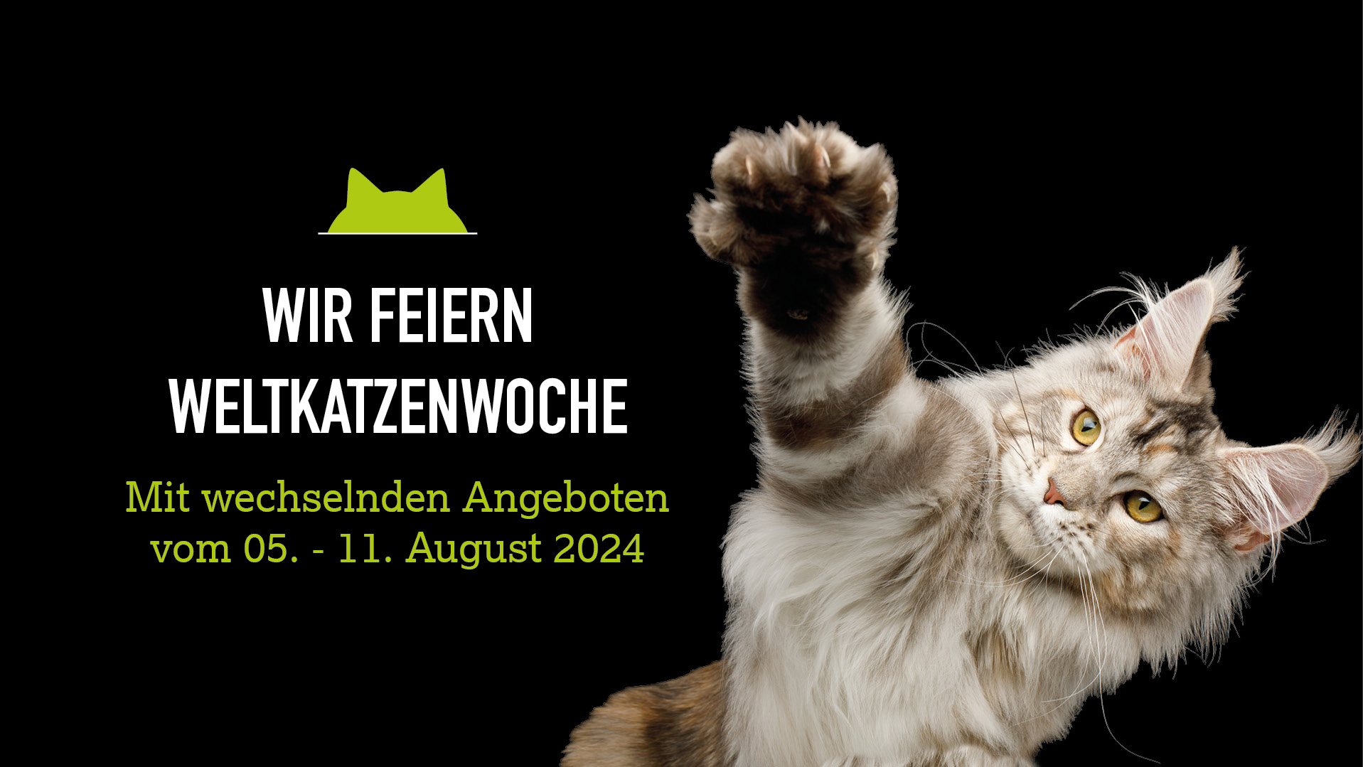 Wkw Blog%20920x518 1