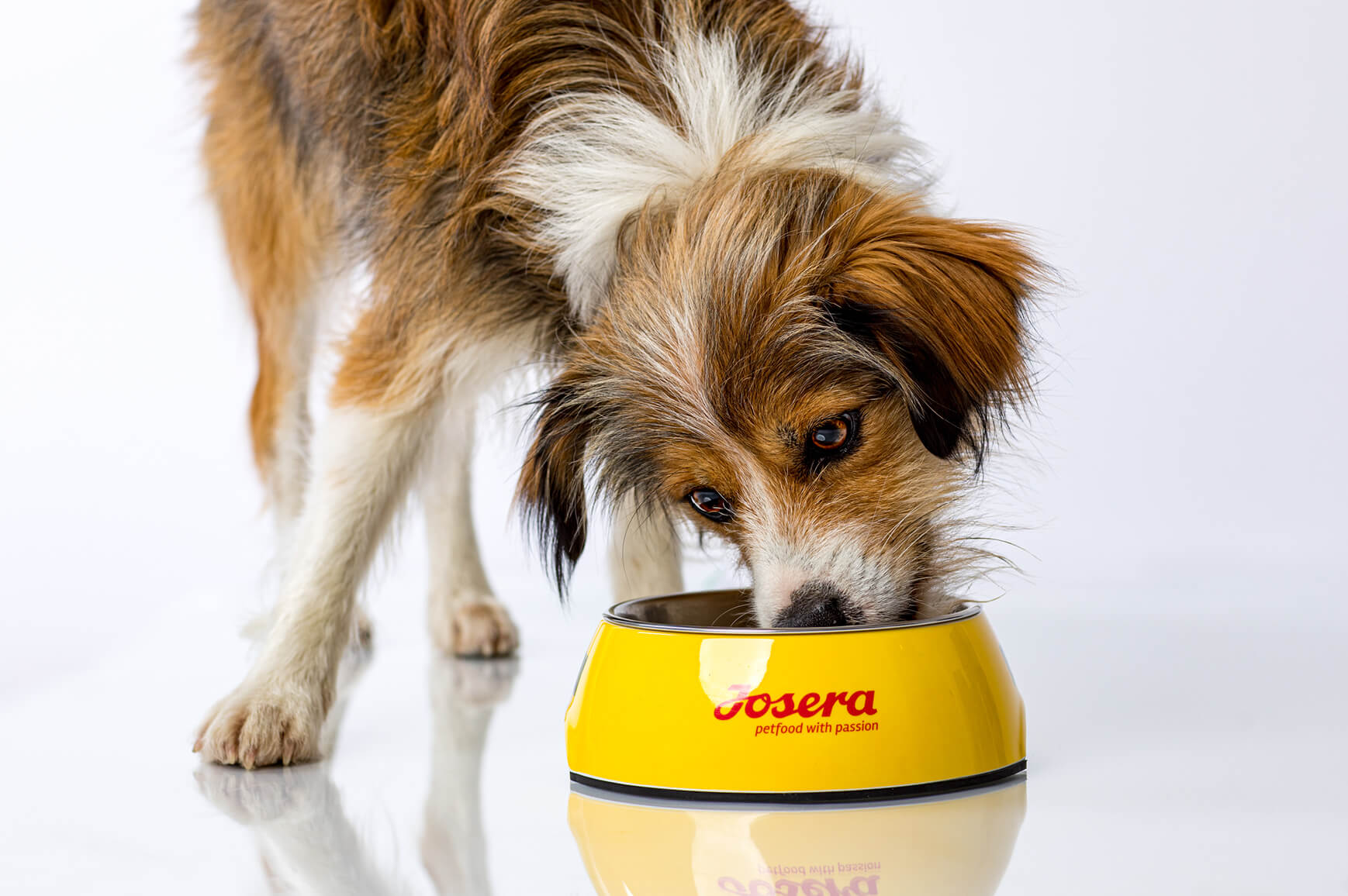 Dts Jos Brandareacontent Text Bild 1006x670