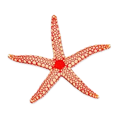 Mw Produkttipps Ba76a7dbb5