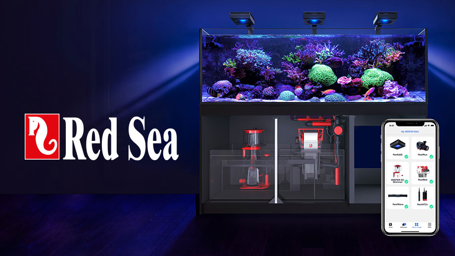 Produkttipp Red Sea Teaser Neu