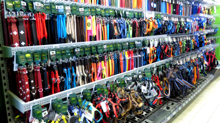 Balingen Highlight Hund