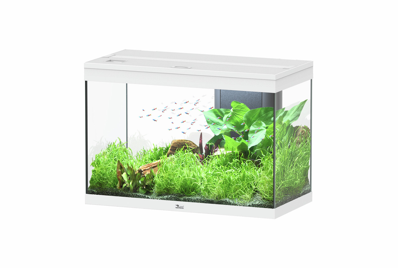 aquatlantis Splendid Ultra 145 weiß Aquarium