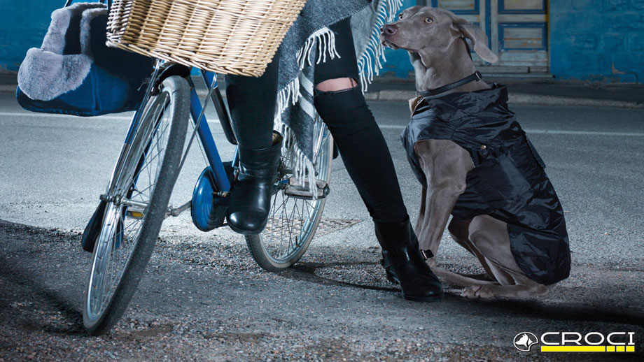 Produkttipp Croci Klamotten Teaser Neu