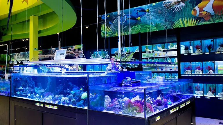 Weiterstadt Highlight 2 8e6691e5fd