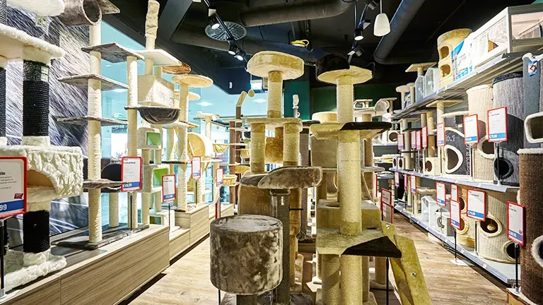 Weilam Rhein Highlight 2 F22075d192