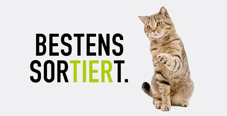 230502 Koellezoo Blog 768x392px