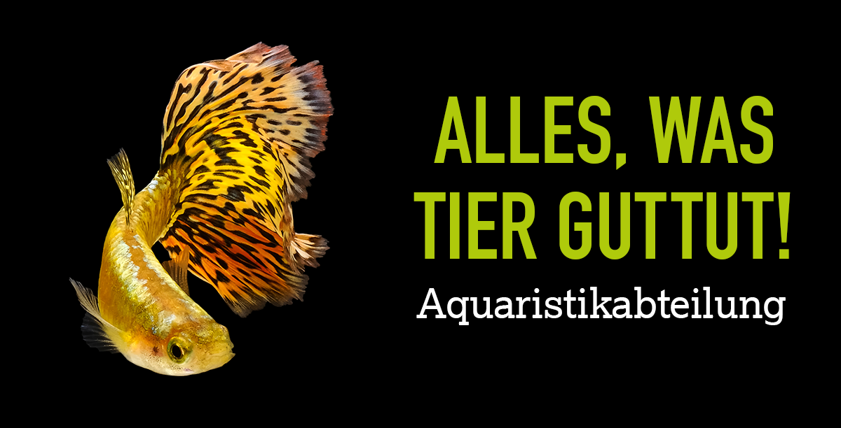 S Usswasserabteilung K Olle Zoo Teaser