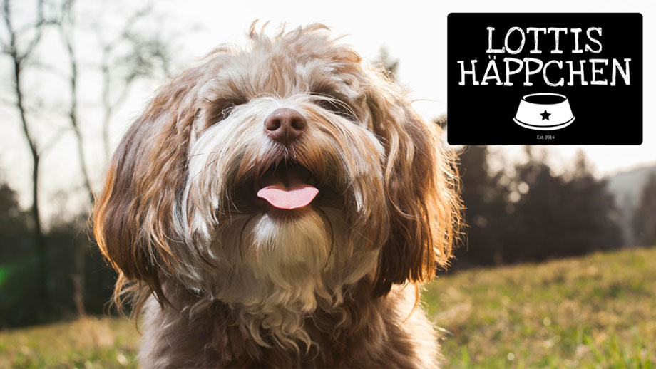 Produkttip Lottis Haeppchen Fresh Teaser Neu