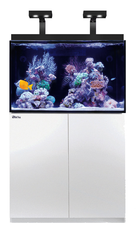 Red Sea MAX E 260 LED mit 2x ReefLED weiß