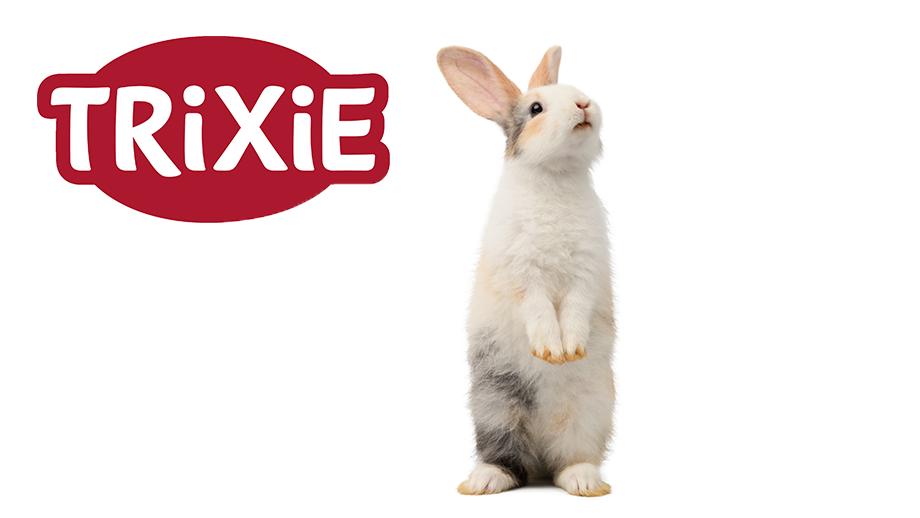 Blog Teaser Trixie%20920x518px%20hase