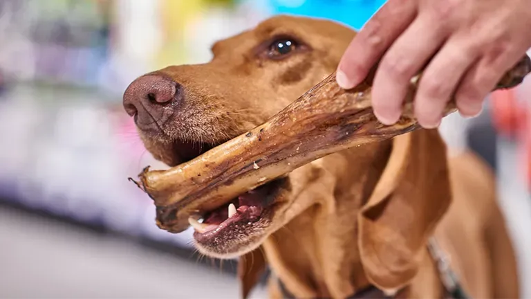 Esslingen Highlight 2 1cce9e0671