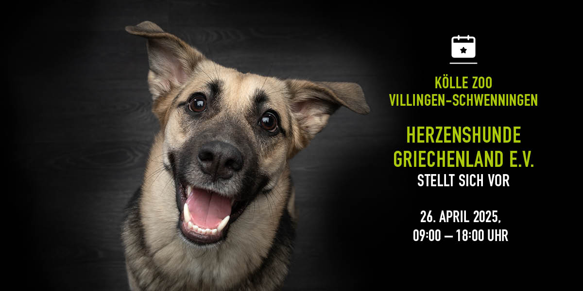 260425 Event Tierschutz Villingen Nl