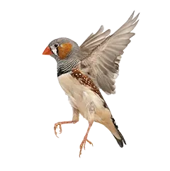 Vogel Produkttipps 8a3b4c0266